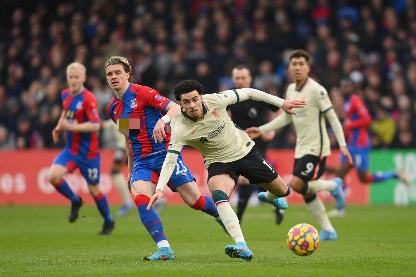 虽然赚取了 虽然赚取了